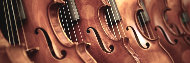 25 February 18.00: String orchestra and piano